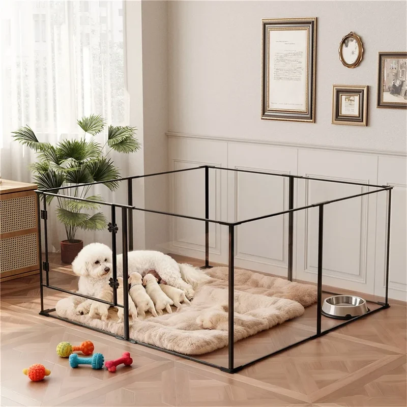 Enclos Acrylique Transparent Grand Chien 122x122 cm