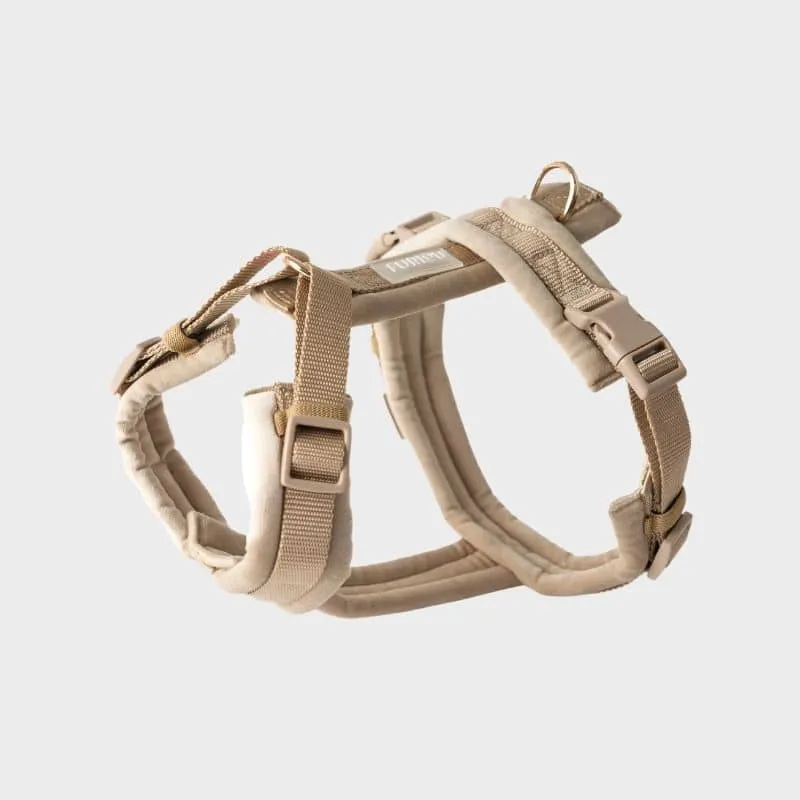 HARNAIS EN VELOURS EN H POUR CHIEN - BEIGE SABLE "SAND VELVET"
