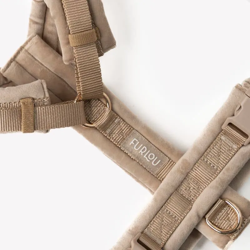 HARNAIS EN VELOURS EN H POUR CHIEN - BEIGE SABLE "SAND VELVET"