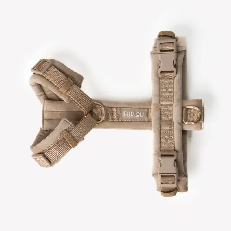 HARNAIS EN VELOURS EN H POUR CHIEN - BEIGE SABLE "SAND VELVET"