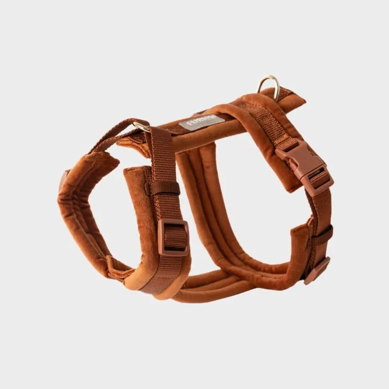 HARNAIS EN VELOURS EN H POUR CHIEN - ORANGE TERRE CUITE "CLAY VELVET"