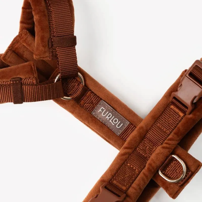 HARNAIS EN VELOURS EN H POUR CHIEN - ORANGE TERRE CUITE "CLAY VELVET"