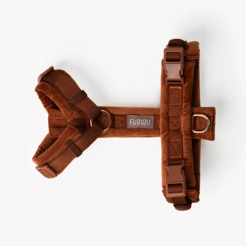 HARNAIS EN VELOURS EN H POUR CHIEN - ORANGE TERRE CUITE "CLAY VELVET"