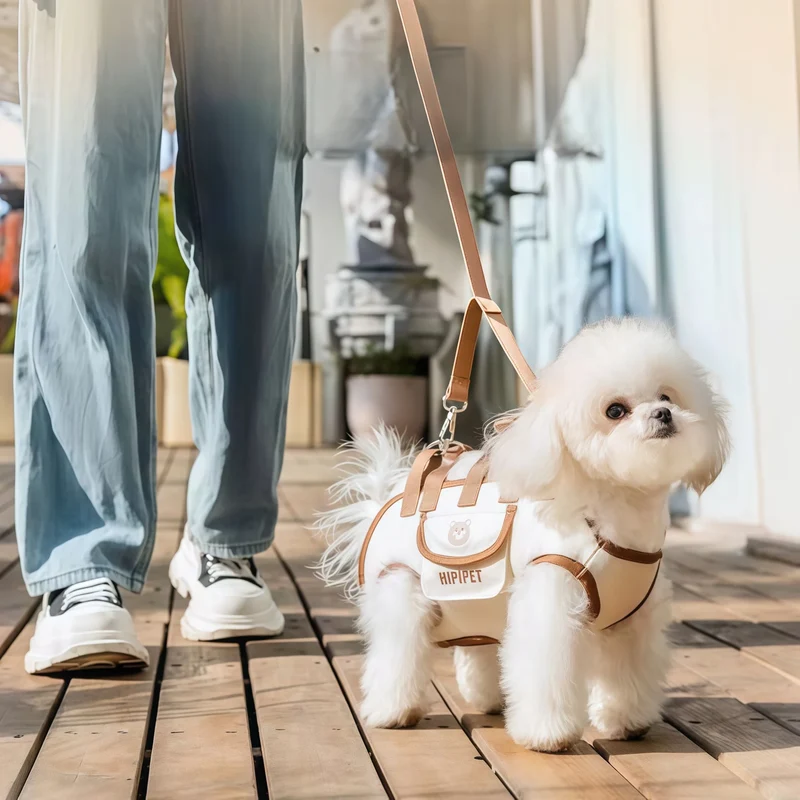 Harnais de Soutien Sacoche à Poignée Petit Chien 10 kg