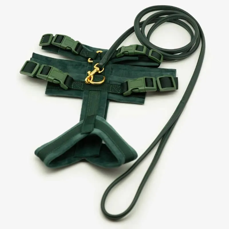 HARNAIS POUR CHIEN ANTI-FUGUE 3 POINTS - SPÉCIAL WHIPPET & LÉVRIER - VELOURS VERT