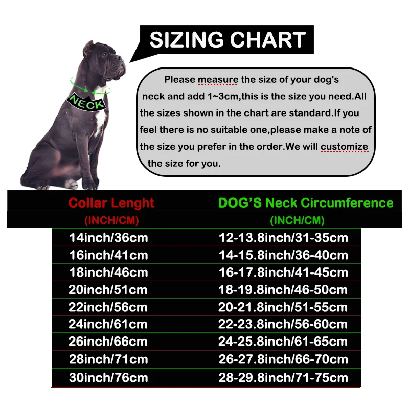 Collier Chaîne Gourmette Inox 32 mm Cane Corso Rottweiler
