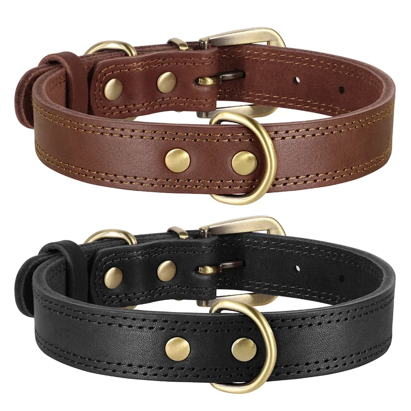 Collier Cuir Véritable Double Anneau Boucle Laiton Pitbull Chien