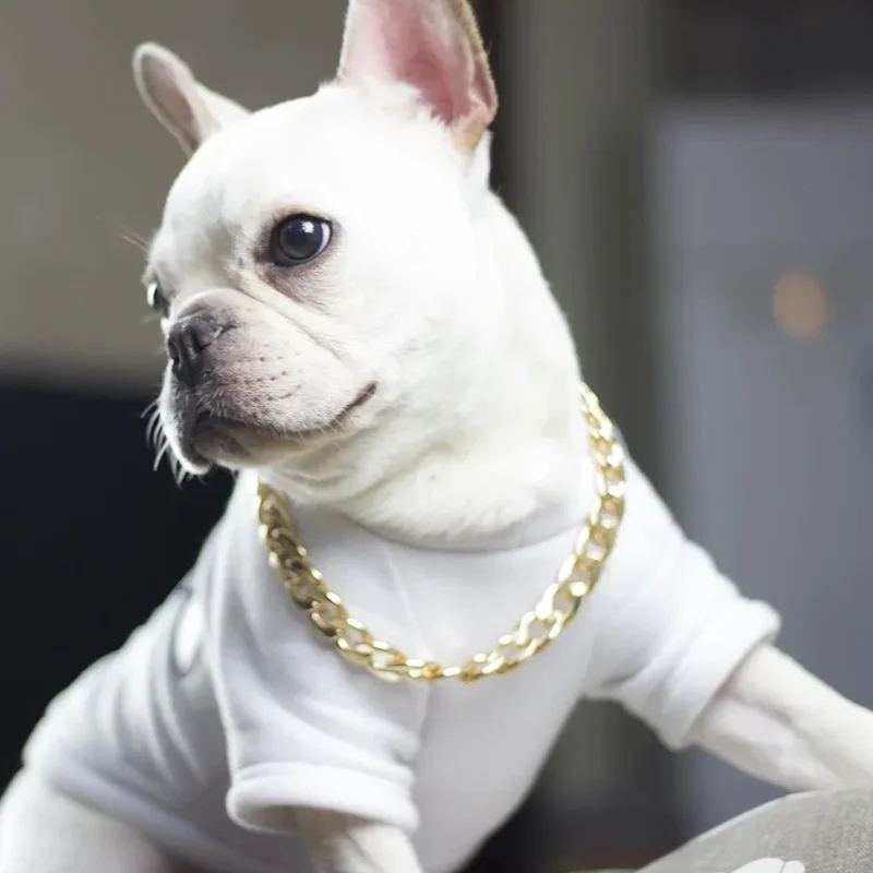 Collier Chaîne Gourmette Dorée Bouledogue Pitbull 25 à 76 cm