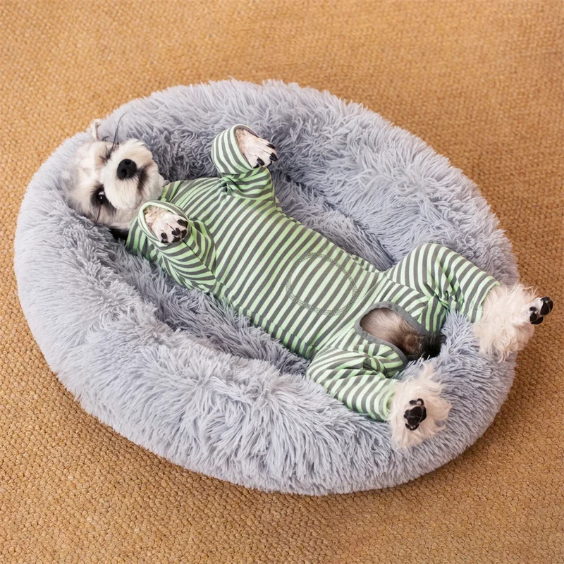Combinaison de Récupération Rayée Petit Chien 4 Pattes Col Réglable
