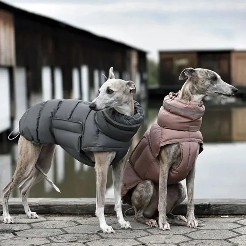 Manteau Imperméable Chaud pour Lévrier Réfléchissant
