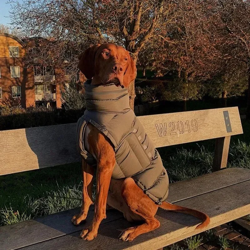 Manteau Imperméable Chaud pour Lévrier Réfléchissant