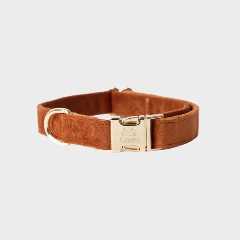 COLLIER EN VELOURS POUR CHIEN - ORANGE TERRE CUITE "CLAY VELVET"