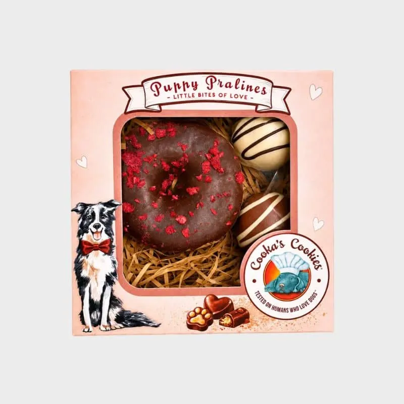 BISCUITS POUR CHIEN - PUPPY PRALINES 🍩