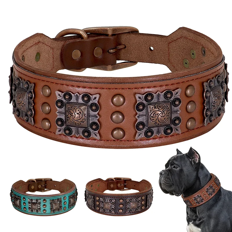 Collier Cuir Large Conchos Bronze Pitbull Bouledogue