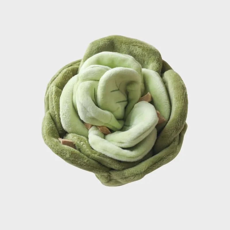 JOUET D’OCCUPATION ET DE FOUILLE POUR CHIEN - CHOU 🥬