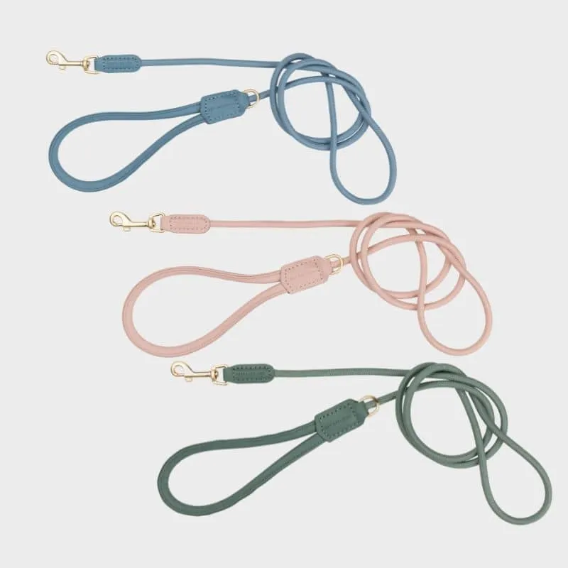 LAISSE EN CORDE POUR CHIEN - CORDE & CUIR VEGAN (DISPO EN ROSE, VERT ET BLEU)
