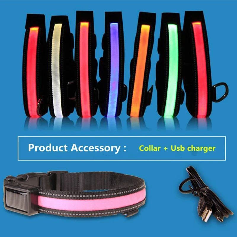 Collier Lumineux LED Solaire et USB Réfléchissant Chien