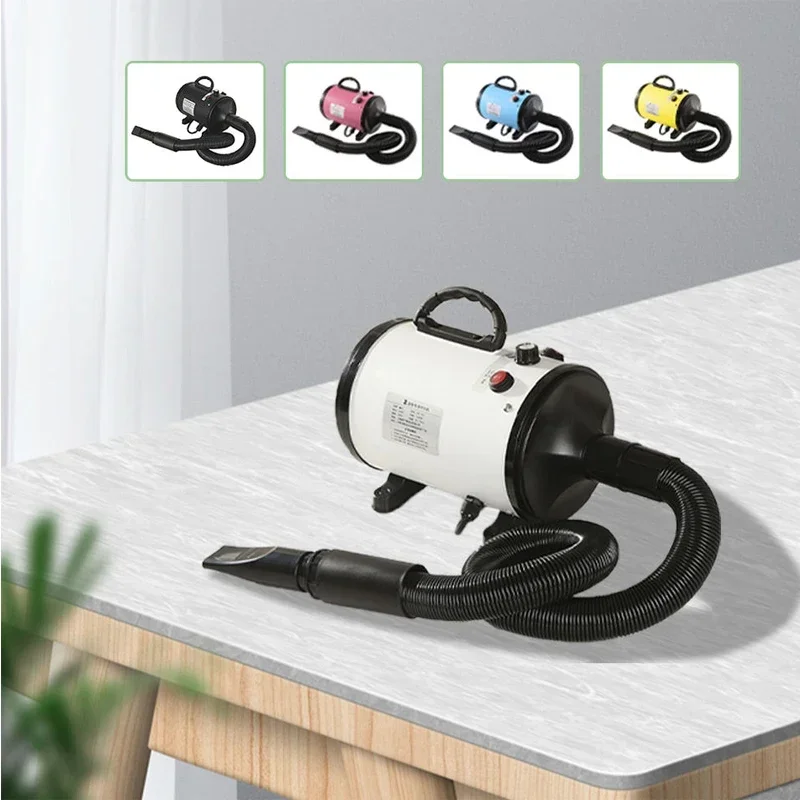 Souffleur de Toilettage Sèche-Poil 100 m/s pour Grand Chien