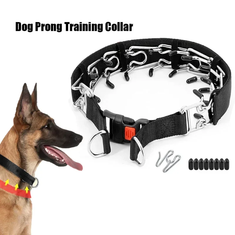 Collier à Pointes Éducation Boucle Rapide Nylon Chien