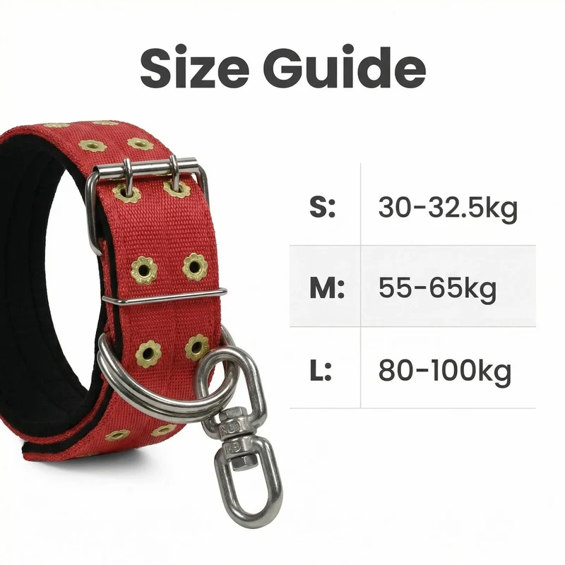 Collier Anti-Évasion Double Boucle Nylon Gros Chien