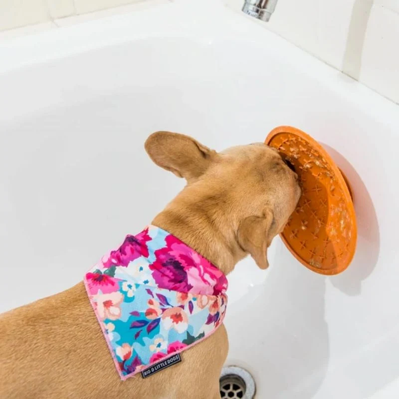 BOL À LÉCHER AVEC VENTOUSE POUR CHIEN - LICKIMAT® SPLASH™ VIOLET