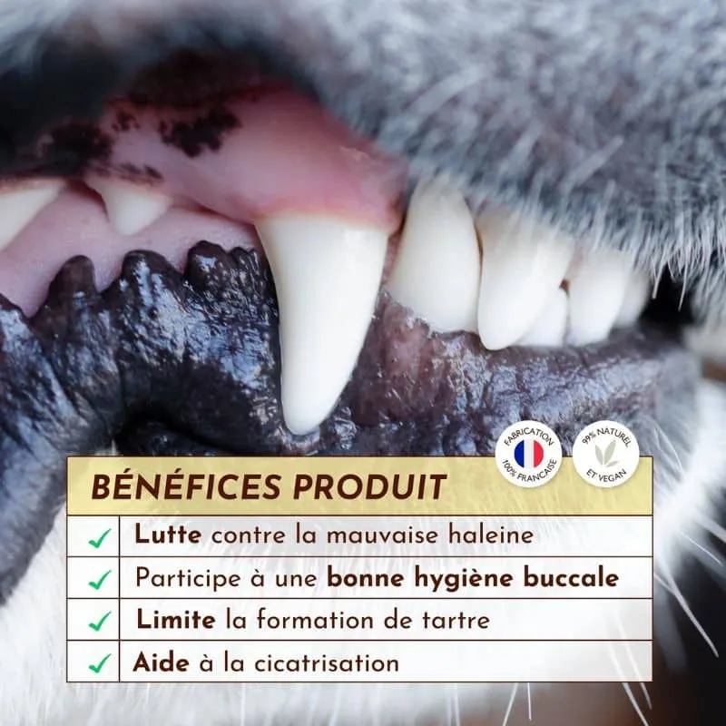 SPRAY DENTAIRE HALEINE FRAÎCHE SOUFFLE POLAIRE - POUR CHIEN