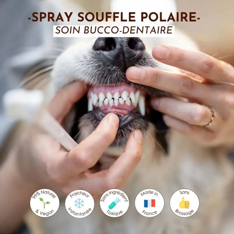 SPRAY DENTAIRE HALEINE FRAÎCHE SOUFFLE POLAIRE - POUR CHIEN
