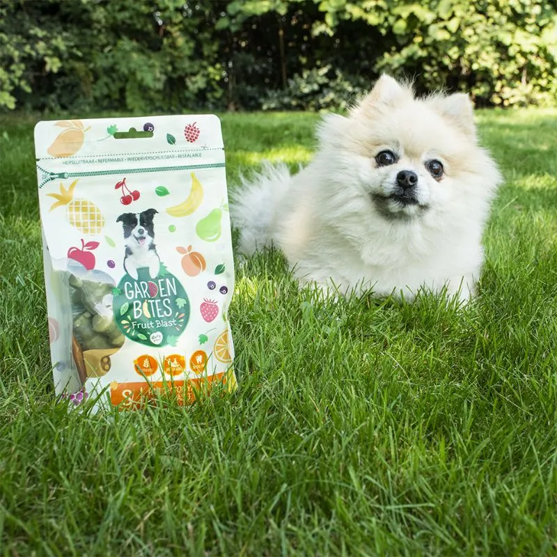 FRIANDISE DENTAIRE À MÂCHER POUR CHIEN - DENTIFRICE (SACHET DE 18 PIÈCES)