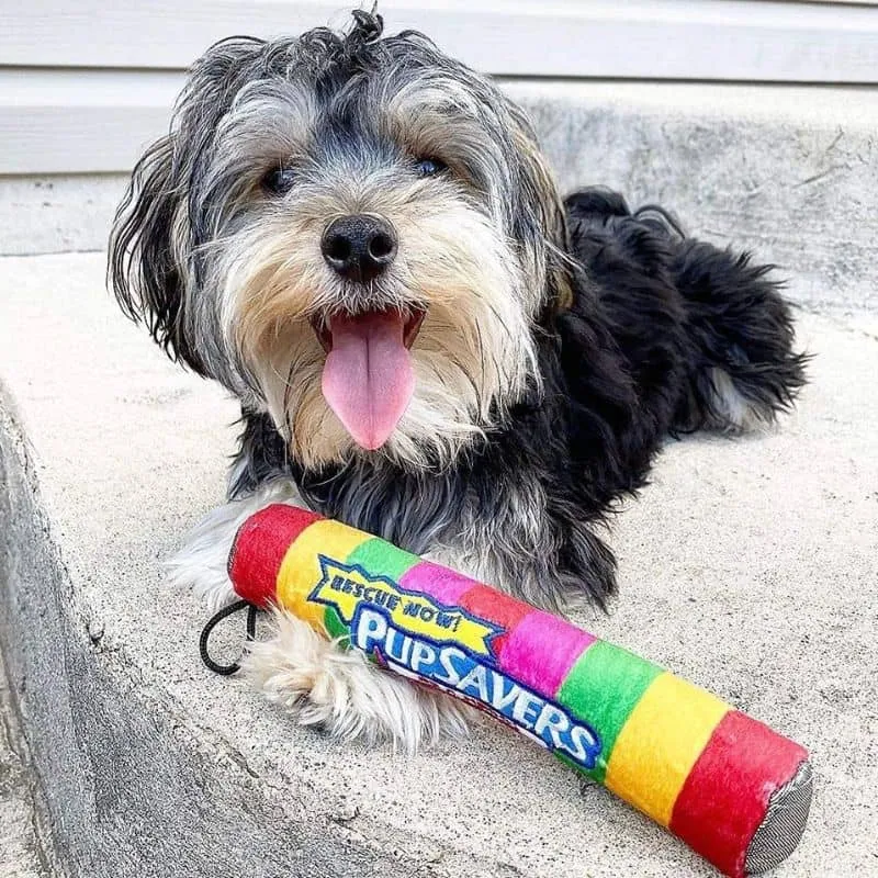 PELUCHE POUR CHIEN - PUPSAVER