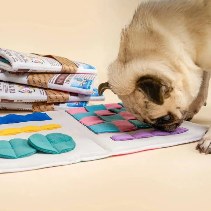 JEU D’OCCUPATION ET DE FOUILLE POUR CHIEN - JOURNAL 🗞️