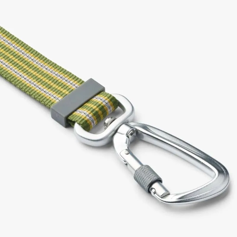 LAISSE AJUSTABLE POUR CHIEN URBAN FREESTYLE™ - VERT