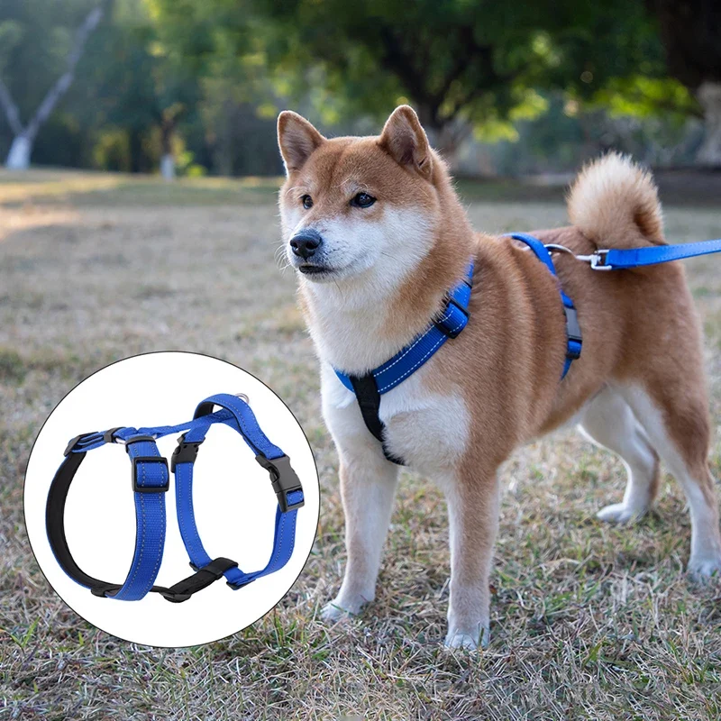 Harnais en H Réfléchissant Rembourré Nylon pour Husky
