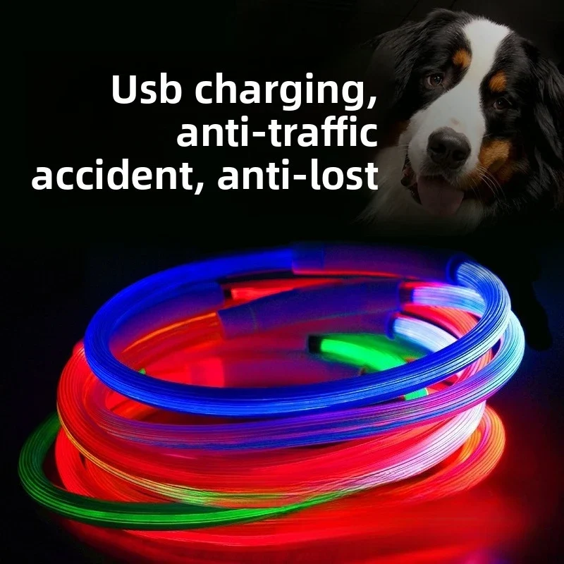 Collier Lumineux LED Étanche 3 Modes Rechargeable Chien