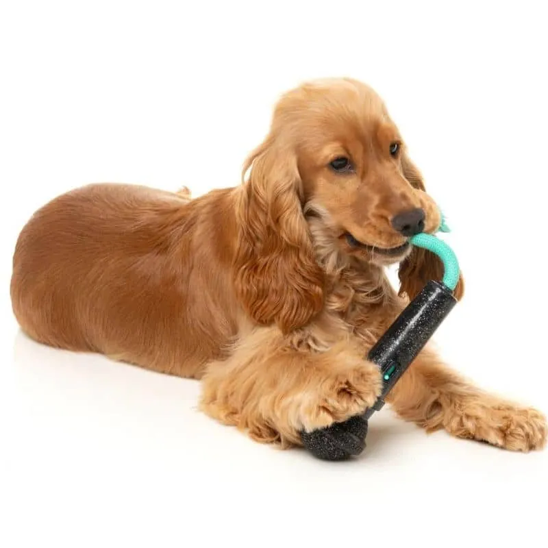 JOUET À MÂCHER POUR CHIEN - MICRO 🎤