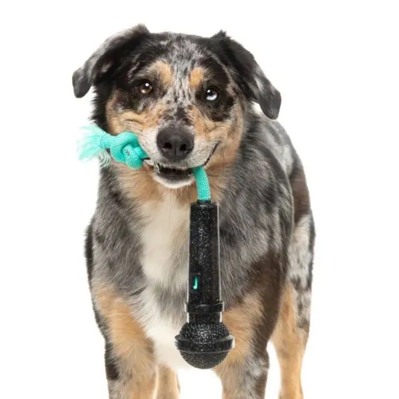 JOUET À MÂCHER POUR CHIEN - MICRO 🎤