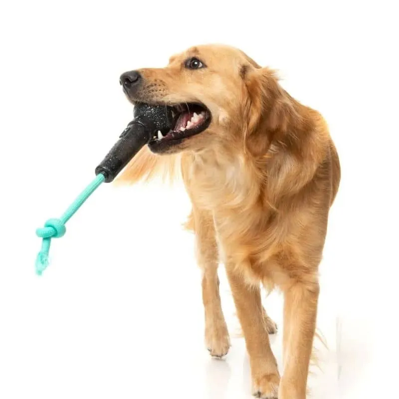 JOUET À MÂCHER POUR CHIEN - MICRO 🎤