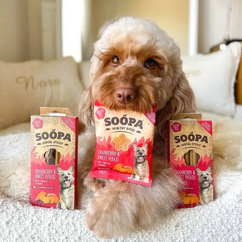 FRIANDISES D'ÉDUCATION POUR CHIEN - CRANBERRY ET PATATE DOUCE