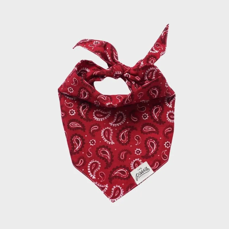 BANDANA POUR CHIEN - DALLAS