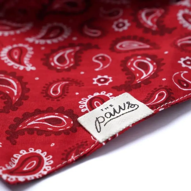 BANDANA POUR CHIEN - DALLAS