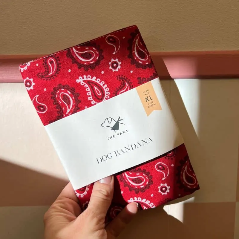 BANDANA POUR CHIEN - DALLAS