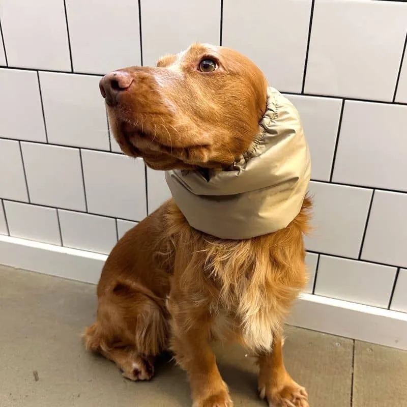 SNOOD HIVER WATERPROOF ET FOURRÉ POUR CHIEN - BEIGE ET VERT