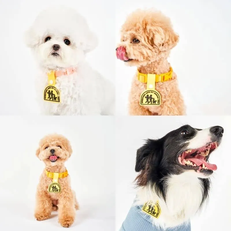 MÉDAILLE POUR CHIEN À CLIP - THE DAILY CLIP (4 DESIGNS AU CHOIX)