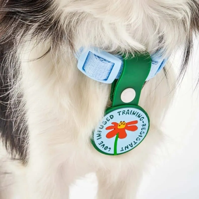 MÉDAILLE POUR CHIEN À CLIP - THE DAILY CLIP (4 DESIGNS AU CHOIX)