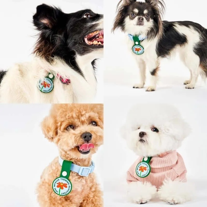 MÉDAILLE POUR CHIEN À CLIP - THE DAILY CLIP (4 DESIGNS AU CHOIX)