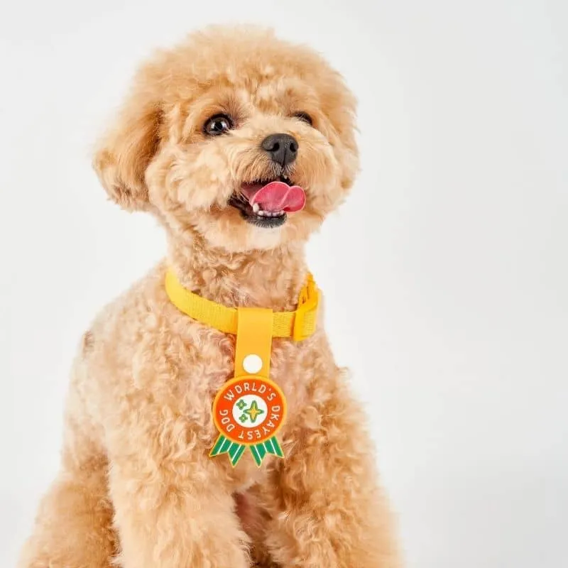 MÉDAILLE POUR CHIEN À CLIP - THE DAILY CLIP (4 DESIGNS AU CHOIX)