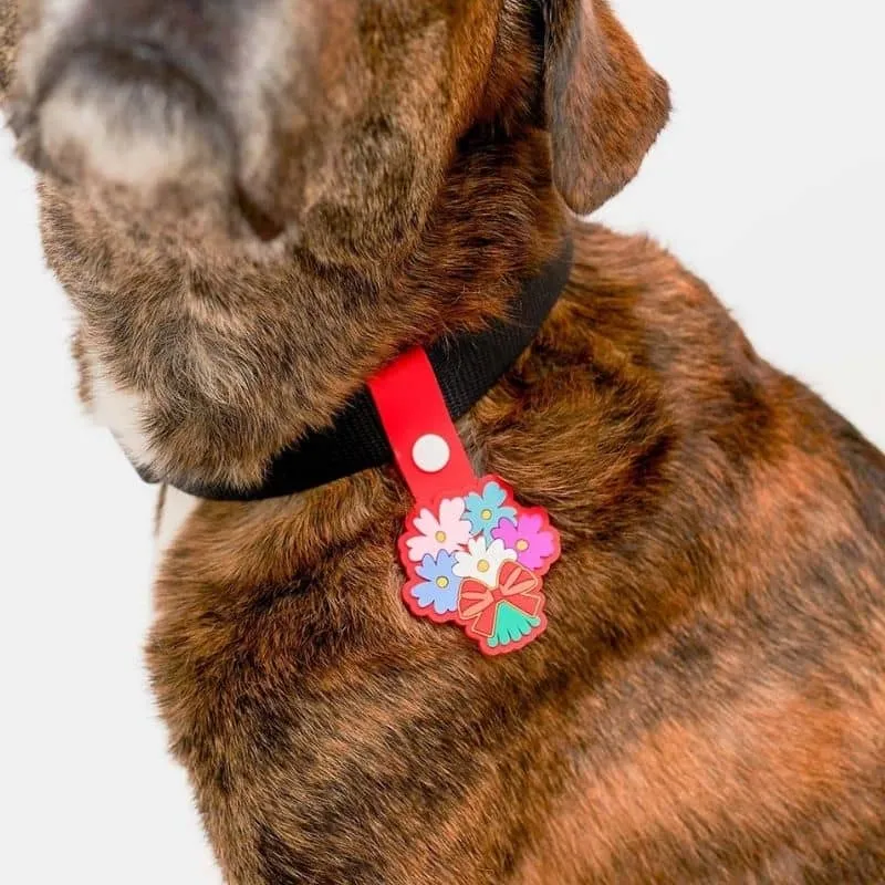 MÉDAILLE POUR CHIEN À CLIP - THE DAILY CLIP (4 DESIGNS AU CHOIX)
