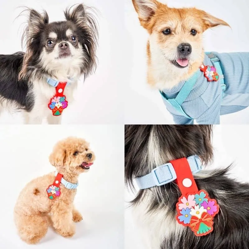 MÉDAILLE POUR CHIEN À CLIP - THE DAILY CLIP (4 DESIGNS AU CHOIX)