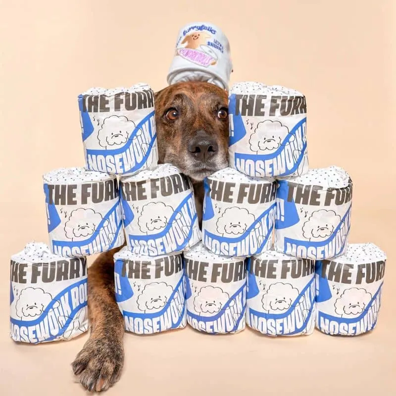 JEU D’OCCUPATION ET DE FOUILLE POUR CHIEN - PAPIER TOILETTE 🧻