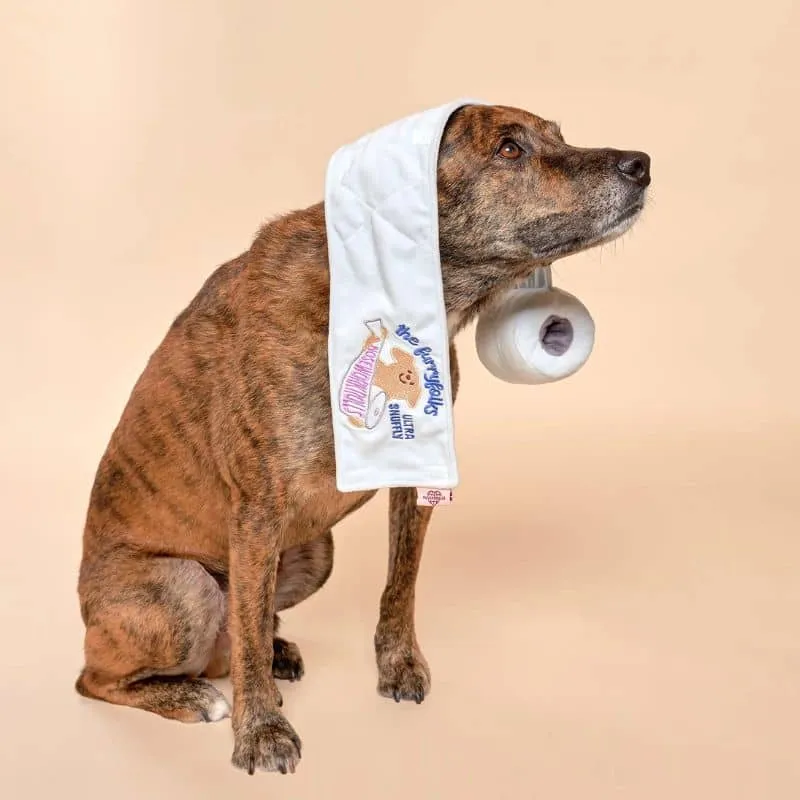 JEU D’OCCUPATION ET DE FOUILLE POUR CHIEN - PAPIER TOILETTE 🧻