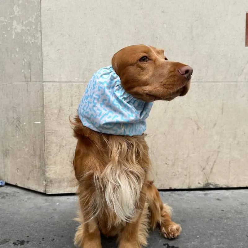 SNOOD POUR CHIEN EN COTON - MEMPHIS BLEU